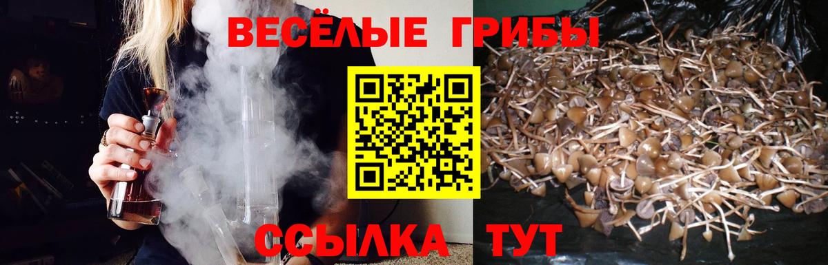 дарнет шоп  Вход с VPN  Волжск  Псилоцибиновые грибы ЛСД 